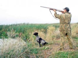 В Нижегородской области открывается весенный сезон охоты