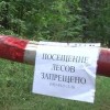 Четвертый класс пожароопасности установлен в Воскресенском районе