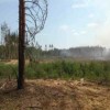 Лесной пожар, возникший в Дзержинске 4 июня, ликвидирован