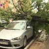 Сегодня днем во время грозы на Звездинке большое дерево упало прямо на автомобили