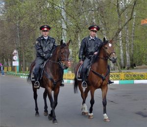 Тринадцать административных правонарушений выявили полицейские в ходе рейда по трём паркам Нижнего Новгорода