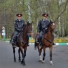 Тринадцать административных правонарушений выявили полицейские в ходе рейда по трём паркам Нижнего Новгорода