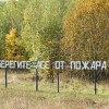 Итоги пожароопасного сезона подводят в Нижегородской области