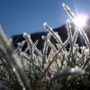 В последний день уходящего года нижегородцев ждет солнечная погода