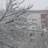 Морозная и безветренная новогодняя ночь ожидается в Нижегородской области