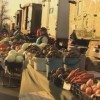 Сельскохозяйственные ярмарки с неограниченным количеством торговых мест будут организованы в Нижнем Новгороде