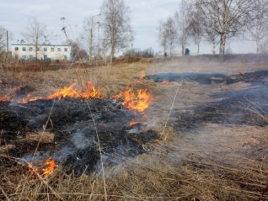 В Нижегородской области начались первые палы сухой травы