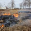 В Нижегородской области начались первые палы сухой травы