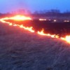 Весна только началась, а в Нижегородской области уже горит сухая трава и мусор