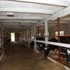 Нижегородский опыт модернизации животноводческих хозяйств планируют перенимать в Беларуси