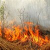 34 загорания травы и мусора зарегистрировано в регионе за минувшие сутки