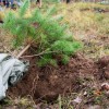 Уникальное оборудование будет восстанавливать леса в Нижегородской области