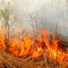 Два лесных пожара в Нижегородской области ликвидированы в воскресенье