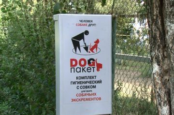 Новые собачьи правила установили в парке Пушкина в Нижнем Новгороде