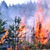 Высокая пожароопасность лесов и торфяников (IV класс) ожидается 26-27 сентября в большинстве районов Нижегородской области и в Нижнем Новгороде