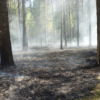 Крупный лесной пожар в Выксунском районе планируют потушить к вечеру 29 сентября
