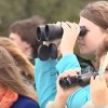 Нижегородцы приняли участие в акции «Всемирные дни наблюдения птиц»