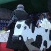 Более сорока сельхозпроизводителей и фермерских хозяйств привезли свою продукцию на ярмарку «Дары осени»