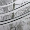 Прохладную погоду и мокрый снег обещают синоптики нижегородцам на следующей неделе