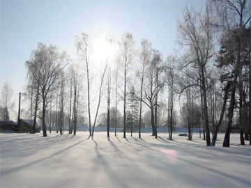 Резкие перепады температур и метели ожидаются в Нижегородской области на этой неделе