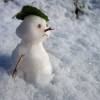 Теплая погода со снегом установится в Нижегородской области в выходные