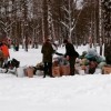 Прошла акция по сбору вторичного сырья в Нижнем Новгороде