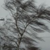 Штормовое предупреждение из-за сильного ветра объявлено в Нижегородской области