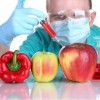 «Единая Россия» вышла с инициативой запретить закупать генно-модифицированные продукты для школ и детских садов, детских лагерей и больниц