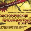 В Дмитровской башне откроется уникальная выставка доисторических насекомых в янтаре