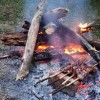 Нижегородцы смогут официально жарить шашлыки на майские праздники