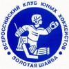 В Нижнем Новгороде состоится Всероссийский хоккейный турнир «Золотая шайба»