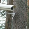 39 видеокамер будут следить за обстановкой в лесах Нижегородской области