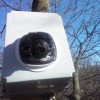 В Нижегородской области будет установлена первая в ПФО камера видеонаблюдения в гнезде ястреба-тетеревятника
