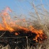 20 случаев возгорания сухой травы зарегистрировано в Нижегородской области за последние дни