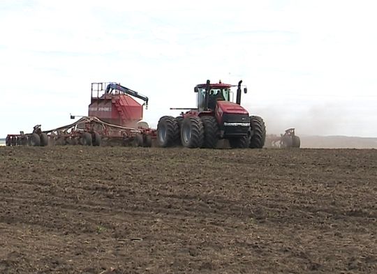 85 процентов площадей под зерновые культуры уже засеяно Нижегородской области