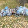 17 сентября пройдет экологическая акция по очистке береговой линии в округе Бор