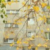 Несколько домов в Нижнем Новгороде остались без тепла