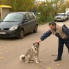 Российские города будут перенимать опыт Нижнего Новгорода по гуманному регулированию численности безнадзорных животных