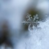 Последняя рабочая неделя уходящего года будет теплой и снежной в Нижегородской области