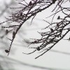 В ближайшие время в Нижегородский регион придет похолодание