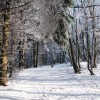 Небольшие снегопады пройдут в Нижнем Новгороде в выходные