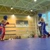 Больше ста участников вышли в ринг Первенства и Чемпионата Нижегородской области по кикбоксингу