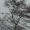 Сильные порывы ветра придут в Нижний Новгород 21 февраля