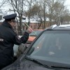На улицы Нижнего Новгорода вышел «Цветочный патруль»