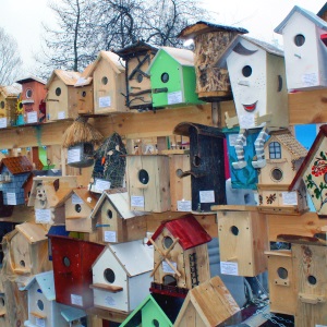 Свыше тысячи домиков для птиц могут увидеть нижегородцы в «Лимпопо»