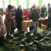 Ярмарка для садоводов-огородников открылась в Нижегородской сельскохозакадемии