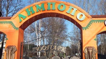 В День защиты детей юные нижегородцы смогут посетить «Лимпопо» бесплатно