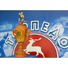 Матч между нижегородским «Торпедо» и уфимским «Салаватом Юлаевым» откроет турнир на Кубок Губернатора