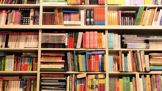 Сегодня в Нижегородской областной детской библиотеке уже во второй раз пройдет акция «Дарите книги с любовью»