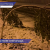 В Нижнем Новгороде устраняют последствия майского снегопада